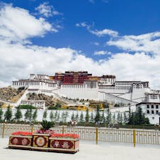 ポタラ宮
チベット　　ラサ
コロナ鍋直前にいけました。
念願のチベット
個人旅は出来ずツアー参加で。
素朴なチベットが大好き‥
けど、その時ですら強力な軍の支配が垣間見れ😰
今はどうなってるやら。
ポタラ宮は登るのが大変。
高山病との戦い。
ポタラ宮を登りはじめツアー仲間が次々とリタイア‥😭