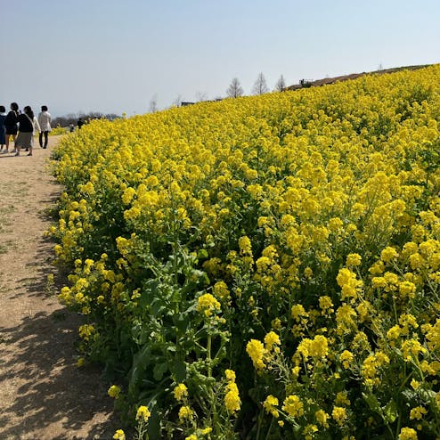あわじ花さじき