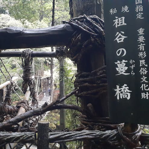 祖谷のかずら橋