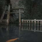 茨城県　鹿島神宮

広い敷地内は緑に囲まれた神秘的な場所でした🙂
現在楼門は工事中ですが、一度行ってみて欲しい神社です！