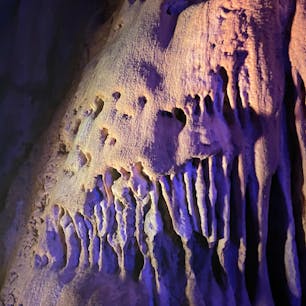 阿武隈洞へ！

洞窟の中では、音と光を使ったアートショーをしていました。
洞窟のなかで音を流しているのは意外と珍しいかも！？

探検後は、食堂で鰻重と冷うどん。
鰻は近くで養殖している名産の「福うなぎ」というらしいです。うどんのタレは、こちらも名産のエゴマとのこと。

おいしかったです。