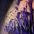 阿武隈洞へ！

洞窟の中では、音と光を使ったアートショーをしていました。
洞窟のなかで音を流しているのは意外と珍しいかも！？

探検後は、食堂で鰻重と冷うどん。
鰻は近くで養殖している名産の「福うなぎ」というらしいです。うどんのタレは、こちらも名産のエゴマとのこと。

おいしかったです。