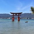 今回は広島県の宮島にある
厳島神社に行ってきました( ̳- ·̫ - ̳ˆ )◞

天気も良く、絶好の観光日和でした！
広島の名物である牡蠣もとても美味しかったので、また行こうと思いました(ง `▽´)╯

#広島 #宮島 #厳島神社