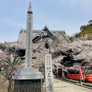 和歌山　紀三井寺

桜が見ごろを迎えていました

西国三十三所観音巡礼
二番札所