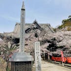 和歌山　紀三井寺

桜が見ごろを迎えていました

西国三十三所観音巡礼
二番札所