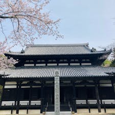和歌山　根来寺

大伝法堂と大塔
桜も見事