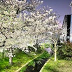 内川沿いの桜

堺市堺区の七道駅から堺駅の間ので
旧環濠沿いが遊歩道になっていていて、
家から出て5秒で見事な桜並木が見れます♪
2024.4.4