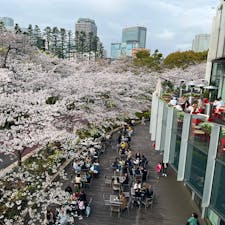 MIDTOWN BLOSSOM 2024 / Tokyo

六本木・東京ミッドタウンの桜。ミッドタウン・ガーデンの並木道には、100本の桜が満開♪ 
1階から4階のガーデンテラス側にあるレストランからは、桜を眺めながら食事やお酒を楽しめます♪ 

#tokyo #tokyosightseeing #tokyomidtown #cherryblossom2024 #bluemoon
