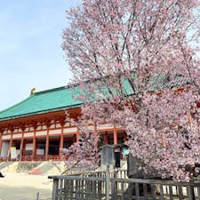 平安神宮

桜と平安神宮。
琵琶湖疏水の鳥居前と桜。
朝のゆったりとした静寂な空気が気に入ってます。
いい景色に癒されます。
2024.4.6