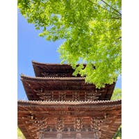 広島　尾道
天寧寺　三重塔

山頂から降りる途中で
尾道の風景に出会いました
