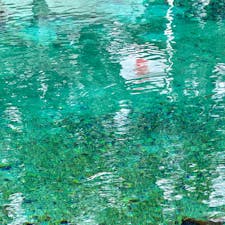 山口県美祢市
別府弁天池
ここはエメラルドグリーンの水が池の底から絶えず湧き出ています。すぐ前の厳島神社に掲げてある日の丸が水面に映っていました。この湧水は飲むことができ(近くに水をくむところがあります)長寿と財宝を授かることができるという物凄くありがたい水で、パワースポットとしても有名です。