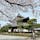 建仁寺

京都東山にある寺院。
源頼家が創建した、歴史あるお寺。
桜と御堂、綺麗ですね。
2024.4.6