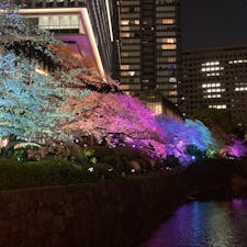 夜間ライトアップされてると聞いて行ってきました。お堀沿いの桜がレインボーカラーに照らされて、日中の桜とは全く違う雰囲気✨

#東京
#紀尾井町
#桜