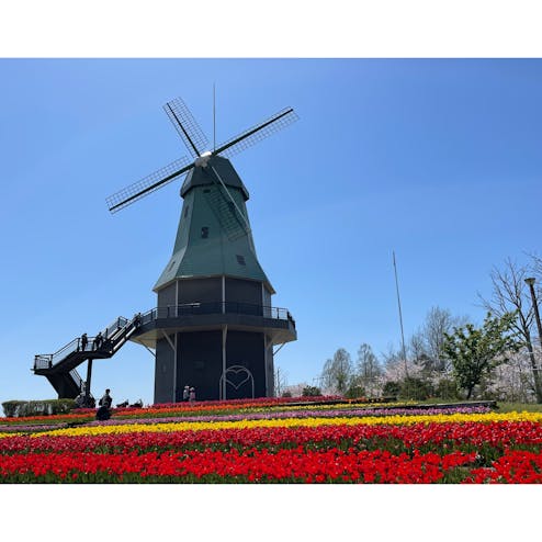 霞ヶ浦総合公園