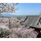 桜が満開のなか開催された、雨引観音（茨城県桜川市）のマダラ鬼神祭へ✨

年に一度にお祭りで、偶然にもマダラ鬼を観ることができラッキーでした😊🎶

桜もちょうど見ごろで綺麗でした🌸
