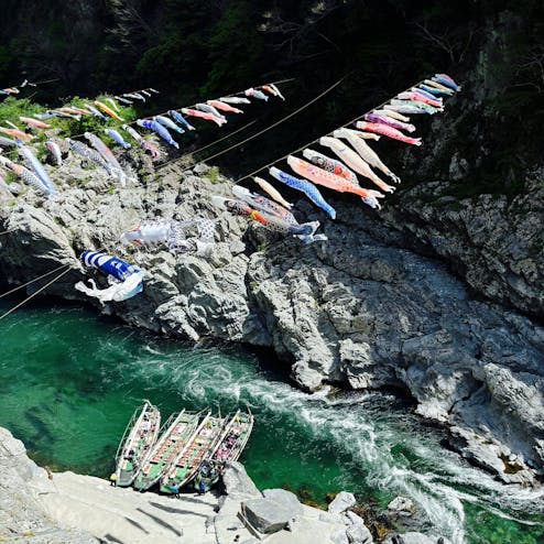 大歩危峡観光遊覧船