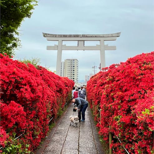 長岡天満宮