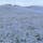 2024/4/21
国営ひたち海浜公園

ネモフィラの青い絨毯がとても綺麗でした😊
一面に咲き誇った姿は圧巻です！！

チューリップも見頃を迎えていました🌷
とっても可愛かったです！