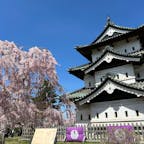 青森県弘前城
4月22日に行ったけど桜は満開できれいでした。