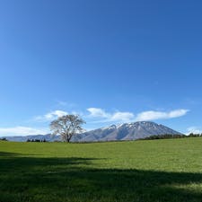 岩手県小岩井農場
桜はほぼ散っていたけど天気もよくて素敵な写真が撮れました。