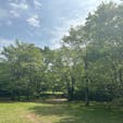 砧公園は、今、新緑がとっても綺麗です！世田谷美術館でも、いろいろな展示が楽しめますよ！

#砧公園
#世田谷美術館