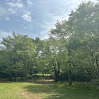 砧公園は、今、新緑がとっても綺麗です！世田谷美術館でも、いろいろな展示が楽しめますよ！

#砧公園
#世田谷美術館