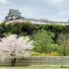 定番‼︎桜とお城🌸
ちょうど、お祭りも開催されていて、屋台を楽しみながら、お花見できました✨