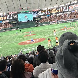 久しぶりの東京ドーム観戦！！
バックネット裏からの観戦は、迫力ありました。スクリーンの演出も、今は進んでいますね。

野球好きな方も、野球をあまり知らない方でも楽しめる時思います！

#東京ドーム
#野球観戦
#巨人
#中日
