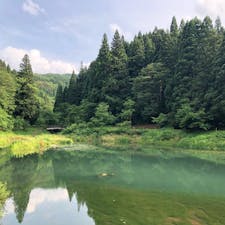 宿から歩いてすぐだったのでお散歩に行きました。6月中旬だったのですが、夜にも行ってみると、めちゃくちゃ蛍がいまして、それは幻想的な光景に時を忘れました。誰も見に来ていない穴場です。