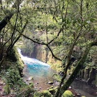 20240428

熊本　菊池渓谷

朝の森林浴
誰もいなくて気持ちいい