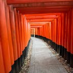 伏見稲荷神社

京都屈指の観光名所。
山頂までお詣りさせてもらいました。
千本鳥居、圧巻で綺麗でしたね。
2024.4.28