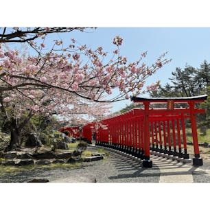 髙山稲荷神社　青森県

鮮やかな千本鳥居と美しい庭園が楽しめます。