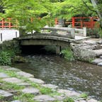 上賀茂神社　明神川

此の川は上賀茂神社の中を流れて居ます。
また此の川は時代劇に良く使われる、場所ですね。あの有名な、切られ役の福本清三さんも此処で何度死んだか😅

#サント船長の写真　#時代劇の聖地