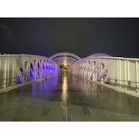アンダーソン橋
#202401 #sシンガポール
