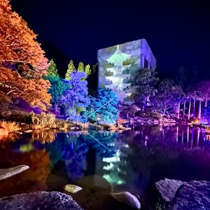 山口県山口市
瑠璃光寺五重塔
プロジェクションマッピング
国宝のこの塔は現在改修工事中ですが、境内にはゆったりとした音楽も流れ、とても美しく幻想的でした。