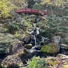 青森・弘前にある「藤田記念庭園」。青森出身の実業家の別荘を庭園に整備されたスポットで自然や岩木山の絶景を楽しめるほか、園内にある「大正浪漫喫茶室」で絶品のアップルパイも味わえますよ♪

#青森 #弘前 #藤田記念庭園 #岩木山 #アップルパイ