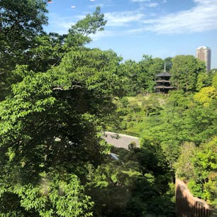 東京の中のオアシス！日本を代表する、ラグジュアリーホテル。ペットと宿泊ができることも珍しいホテル。四季折々の庭園の景色と共に、レストラン、スパ、ホテル、結婚式などファンが多いのは納得。話題の東京雲海は昼も夜も見てほしい非日常な演出。