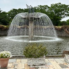 東京・立川にある国営昭和記念公園では、ネモフィラが見ごろを迎えています！
その他にも日本庭園や古民家などもあり、花だけでなく、昔ながらの生活も楽しめますよ♪

#東京 #立川 #昭和記念公園 #ネモフィラ #古民家 #日本庭園