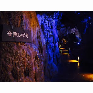 【岩手県】

日本三大鍾乳洞の一つ、龍泉洞です😌