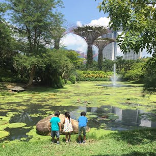 ガーデンバイザベイ。
ちょこっと向こうにマリーナベイサンズ。