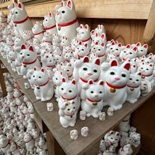 豪徳寺駅から結構歩きます。
途中でU字工事の益子さんとすれ違いました。
外国人観光客が目立ちました。