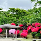 久々の秋田はツツジと藤の花が満開で充実した旅でした。
初日は千秋公園で満開のツツジを堪能し、2日目はずっと行ってみたかった「心水苑」でたっぷり2時間朝の散歩を楽しみました。美術館や博物館も素敵でしたが緑に包まれた日本庭園はホントに心の栄養でした。
午後は角館で海外の観光客に紛れて武家屋敷を巡ったのもイイ思い出です。