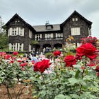 東京・西ヶ原にある「旧古河庭園」。
歴史ある庭園に咲く色とりどりのバラの花は見ごろを迎えており、香りを楽しみながら散策を楽しめますよ♪

#東京 #旧古河庭園 #西ヶ原 #バラ #庭園