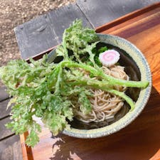 軽井沢「OSOBAR」

軽井沢コモングラウンズ内にある立ち食い蕎麦屋「OSOBAR」
暖かったので冷たいお蕎麦を注文しました。森の中でいただくお蕎麦は、雰囲気もあいまってより美味しく感じましたよ♪トッピングには名物の春菊の天ぷらが乗っていて、苦味は少なく、薄衣でサクサクでした◎