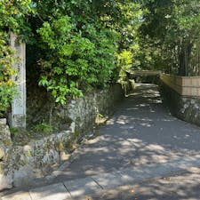 法然院

京都東山の小さな寺院。
ここは京都らしい穏やかで静かな佇まいがあり、
最近の観光地の混み合った感じがなく。
ゆったりと感じて過ごせました♪
2024.5.11