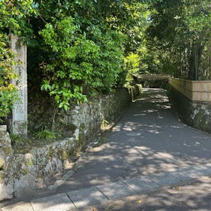 法然院

京都東山の小さな寺院。
ここは京都らしい穏やかで静かな佇まいがあり、
最近の観光地の混み合った感じがなく。
ゆったりと感じて過ごせました♪
2024.5.11