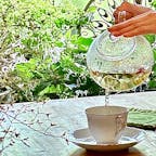 山口県防府市
れんげハウス
ガーディナーでもあるオーナーさんが、自らお育てになったお花たちを、エディブルフラワーとして飲み物やお料理で饗してくださる、とても落ち着く素敵なカフェです。