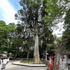 ぶらり一人旅
