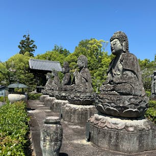 別格本山五智山蓮華寺

蓮華寺は、京都市右京区御室大内にある真言宗御室派の別格本山の寺院。山号は五智山。本尊は阿弥陀如来。キュウリに疫病を封じ込め、病気平癒を祈願するきゅうり封じの法要で知られる。

#サント船長の写真　#石仏
#銅像石像