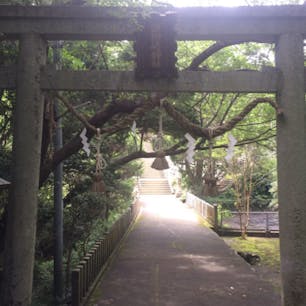 潮御崎神社
和歌山県東牟婁郡串本町潮岬
殆ど人が来ないと思います。
やたらと静まり、此の神社に人が来るのかなと思います。

誰かの書き込みにお賽銭を5円入れたら戻ってきた、のでまた入れたら、また戻って来たと書いて有りましたが、コレは神様も少なく過ぎると言って居ますね(笑)参拝者が少ない神社です、願い事も可成り聞いて貰えますにで、お賽銭は奮発しましょう、お賽銭は必ず自分の元に帰りますから。
本州最南端の神社

#サント船長の写真　#こんな所に